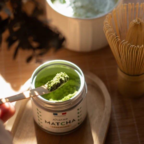 Chashaku - cuillère en bambou pour Matcha - Anatea