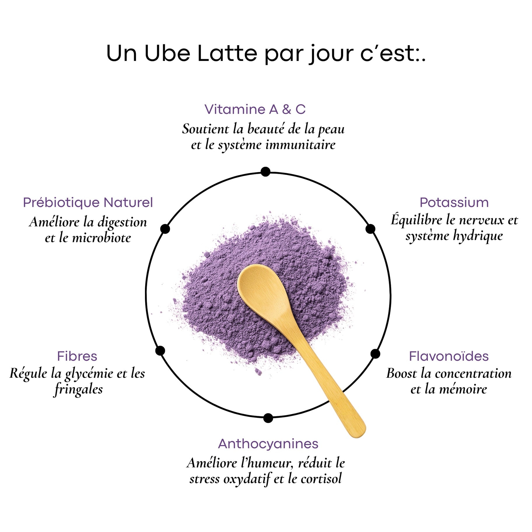 Poudre Ube Latte Premium Philippines 100% Naturelle - UBE Nolia