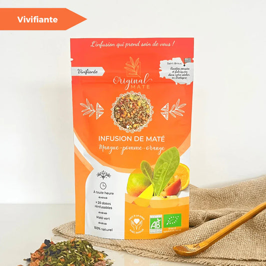 Yerba Mate fruttata – Mango, mela e arancia | Compagno originale