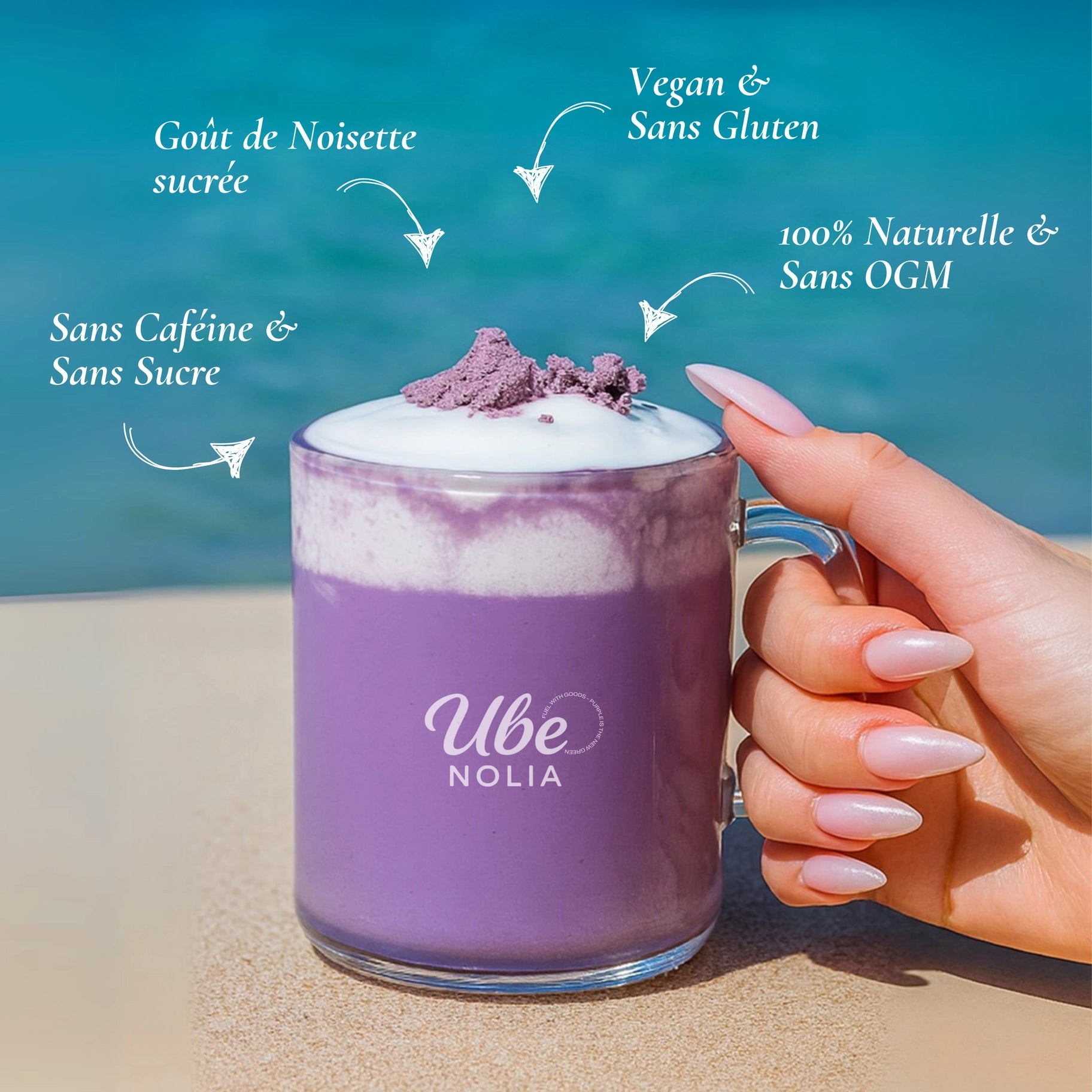 Poudre Ube Latte Premium Philippines 100% Naturelle - UBE Nolia