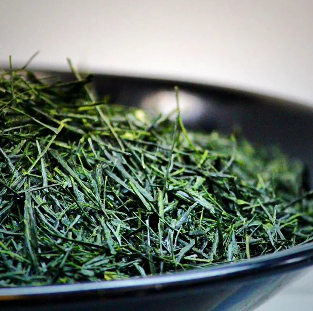 Shincha BIO – Il primo tè verde della primavera | Anatae