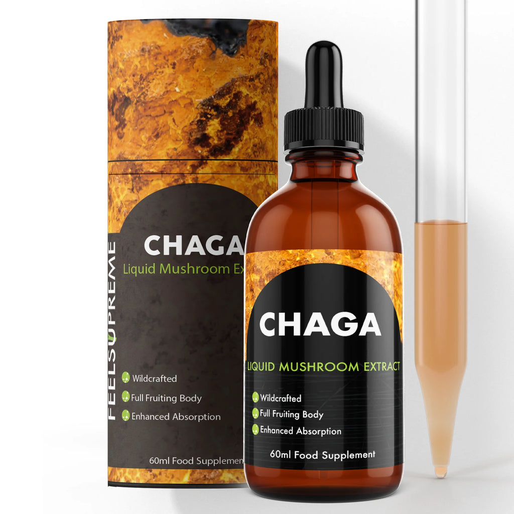 Extrait liquide champignon chaga (Teinture)