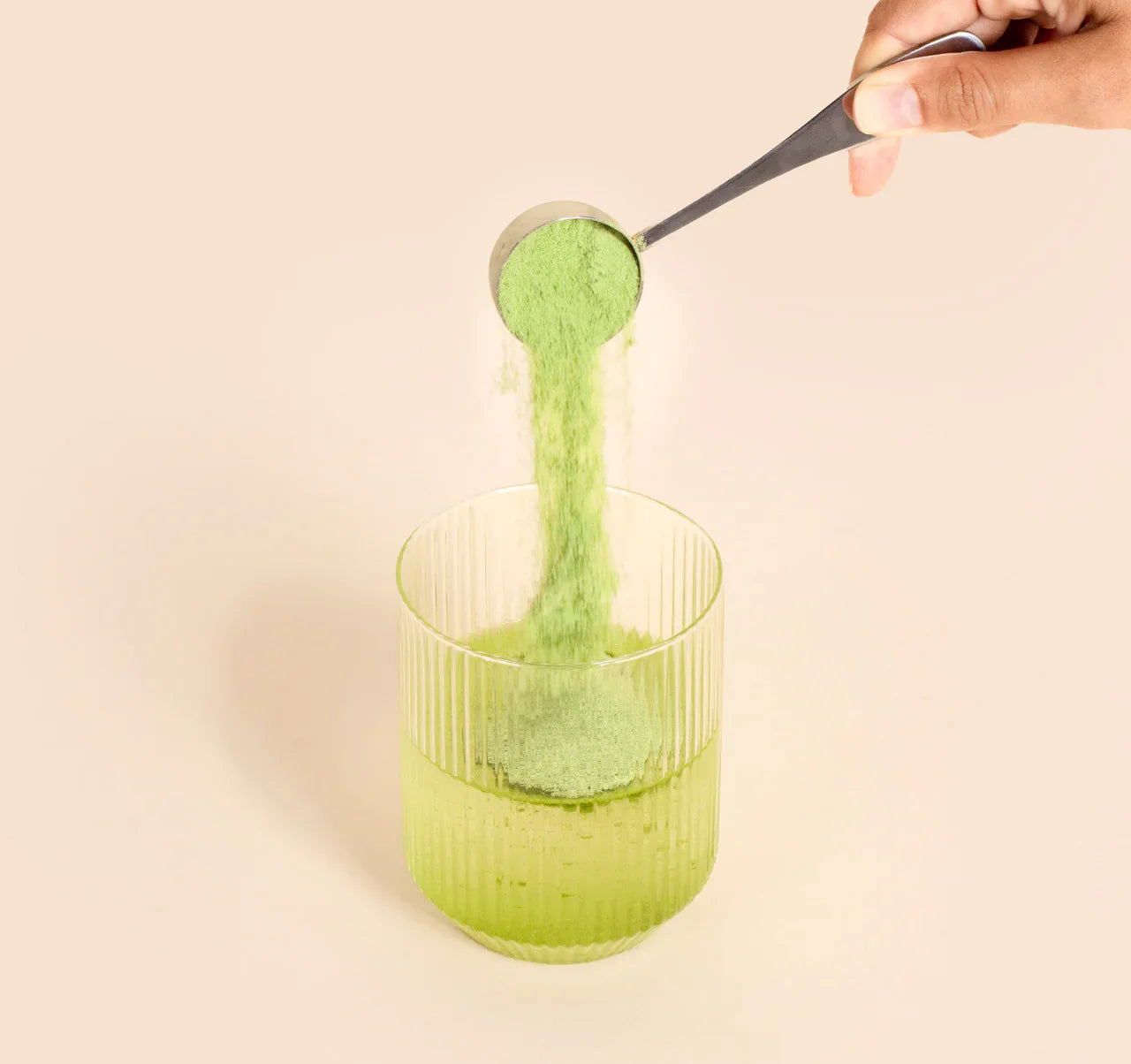 Collagène Bovin au Matcha – Matcha&CO