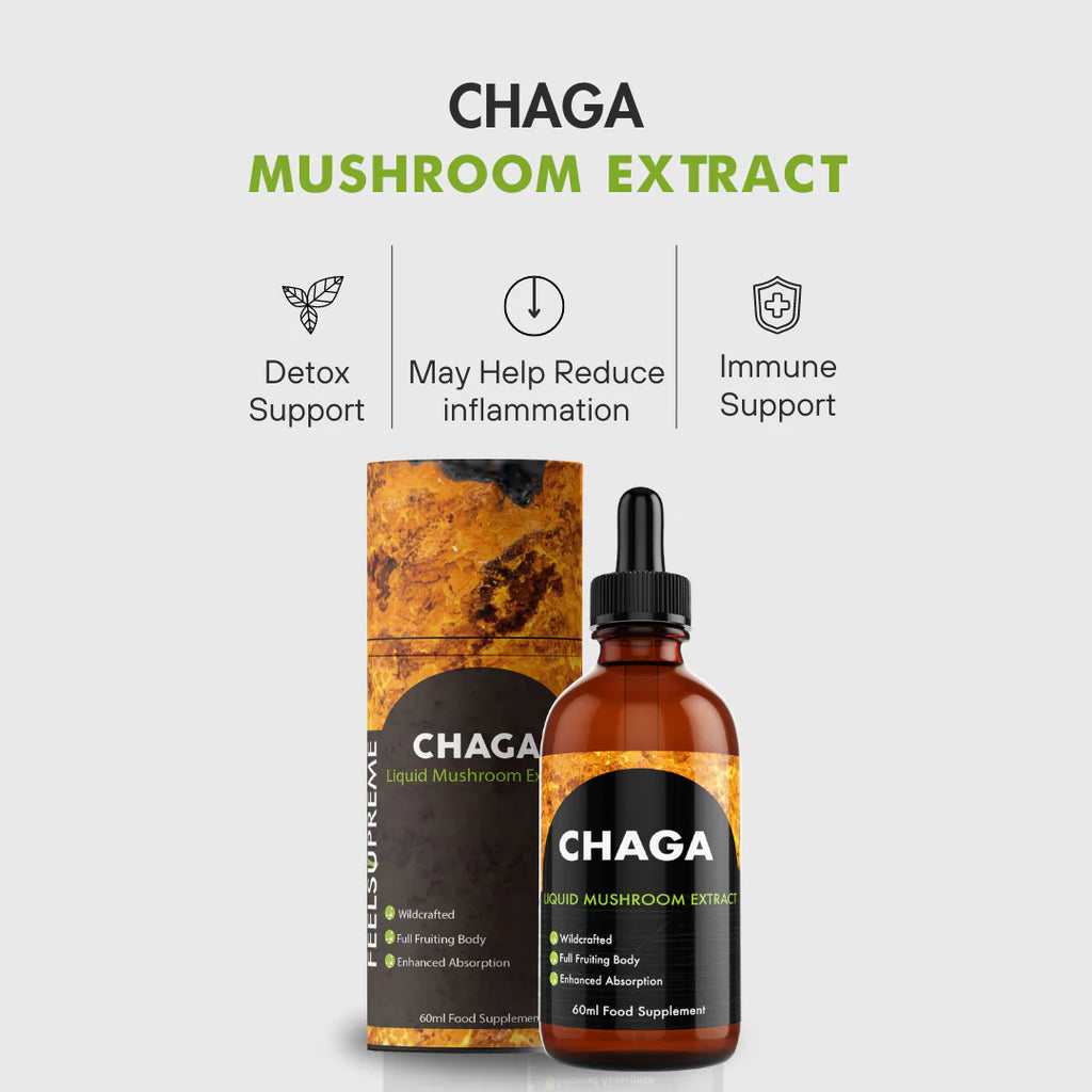Extrait liquide champignon chaga (Teinture)