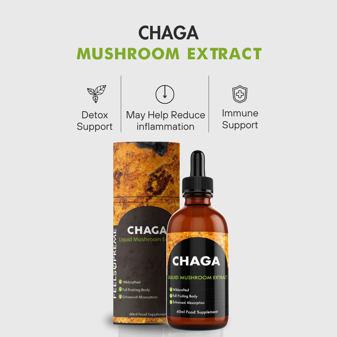 Extrait liquide champignon chaga (Teinture)