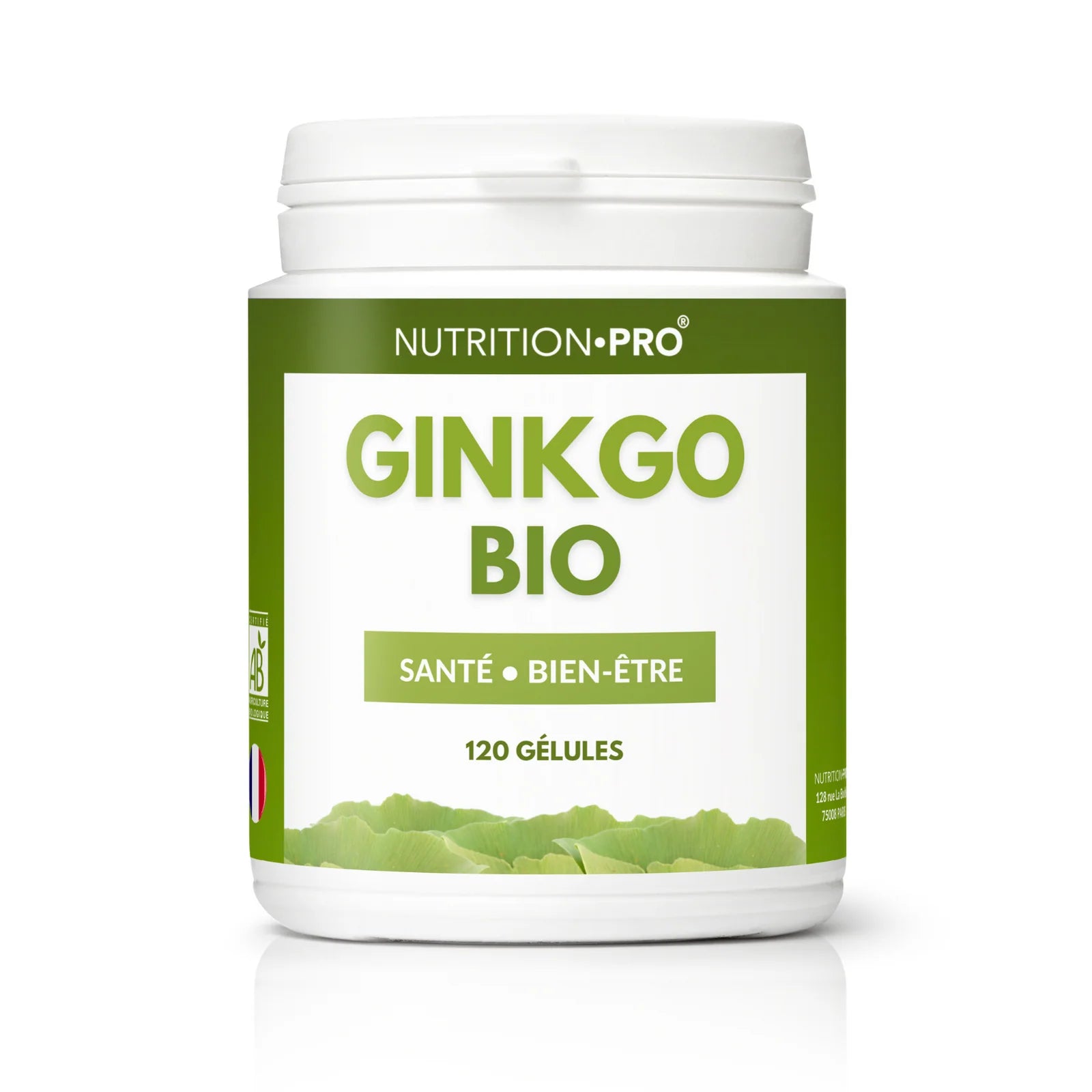 Ginkgo BIO - Nutritionpro