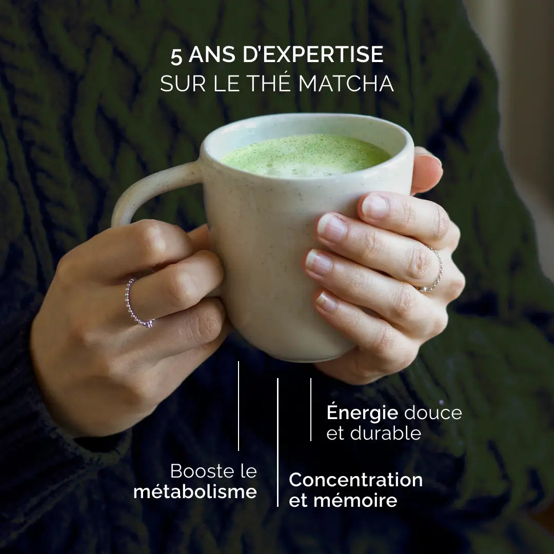 Matcha biologico premium – Grand Cru dal Giappone | Anatae