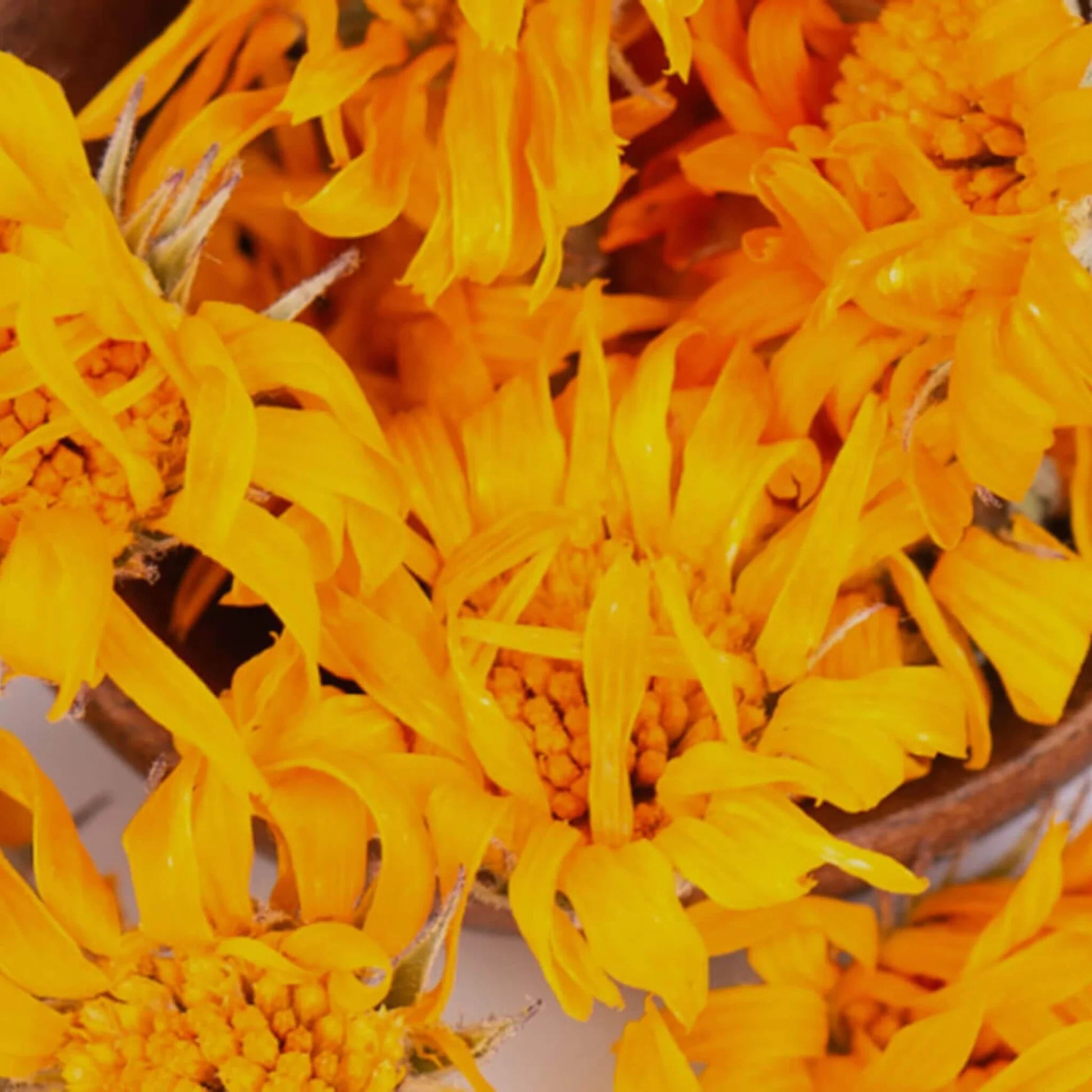 Huile de calendula BIO pressée à froid - Pour le corps et les cheveux - SOWÉ