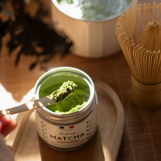 Chashaku - cuillère en bambou pour Matcha - Anatea