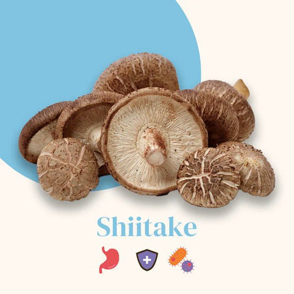 French Mush Shiitaké DUO