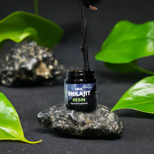 Shilajit Altai Harz - 50g