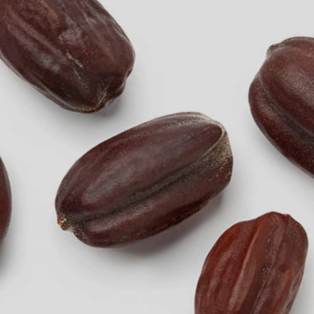 Huile de jojoba BIO pressée à froid - Pour le corps et les cheveux - SOWÉ