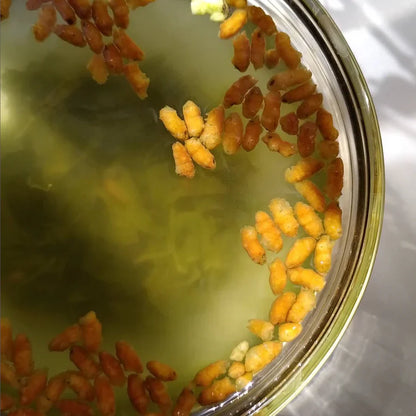 Tè Genmaicha – Tè verde giapponese e riso soffiato | Anatae